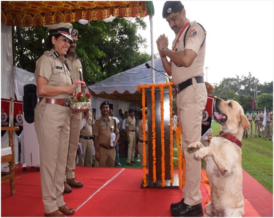 541495c3-d4d3-419d-8e54-1d0966e19cd7