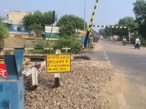 c1bb6f99-4496-4965-8e6c-7f5cd9bc876a_1763813178627