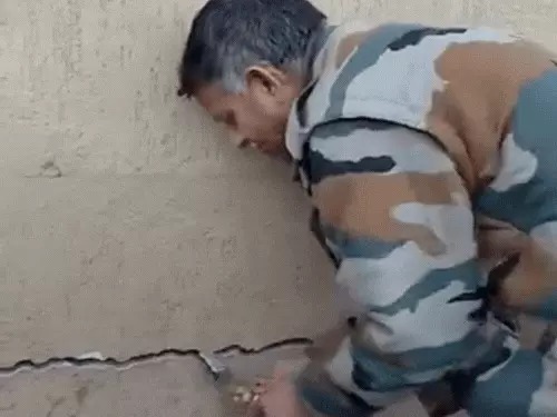 84b8a3b9-5027-421b-b2e5-cb76b6e1085c