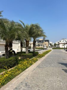 a07002c0-a7da-46f3-a80c-e2d01f980857